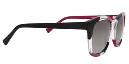 Ainslee Square Black Sunglasses4