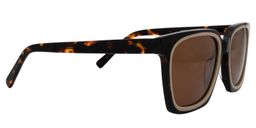 Akbar Square Tortoise Sunglasses4