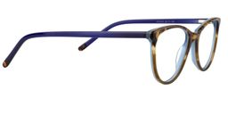 Alder Oval Blue Glasses4