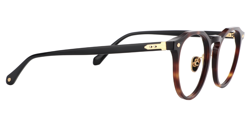 Round Tortoise Glasses | Zeelool Eyeglasses Online4