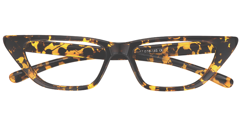 Geometric Tortoise Eyeglasses 1