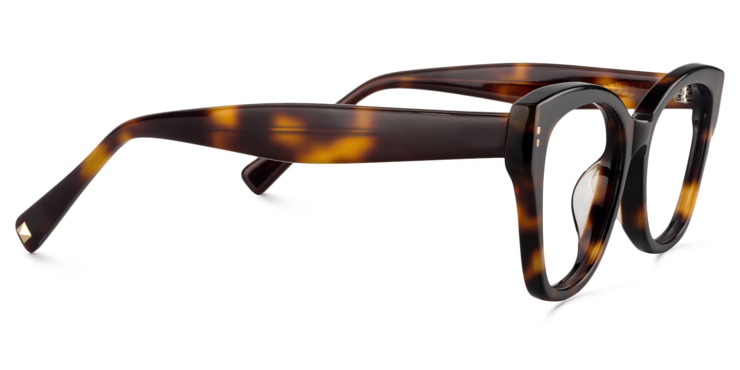 Square Tortoise Glasses | Zeelool Glasses4