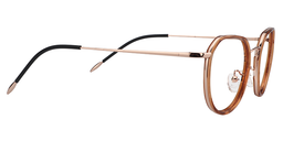 Allen Round Brown Glasses5