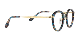 Felipa Round Blue-Tortoise Glasses4