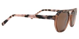 Aherne Aviator Brown Sunglasses4