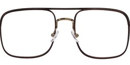 Jelly Aviator Brown Titanium Glasses2