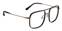 Jelly Aviator Brown Titanium Glasses4