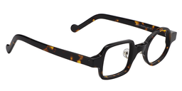 Stark Asymmetric Tortoise Eyeglasses2