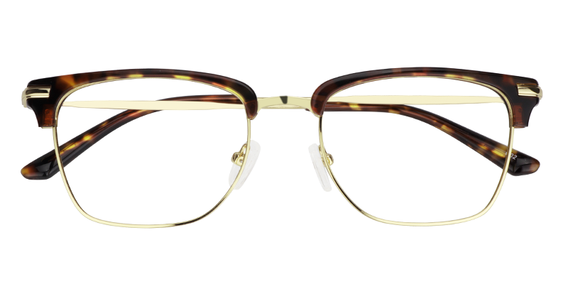 Browline Tortoise Glasses1