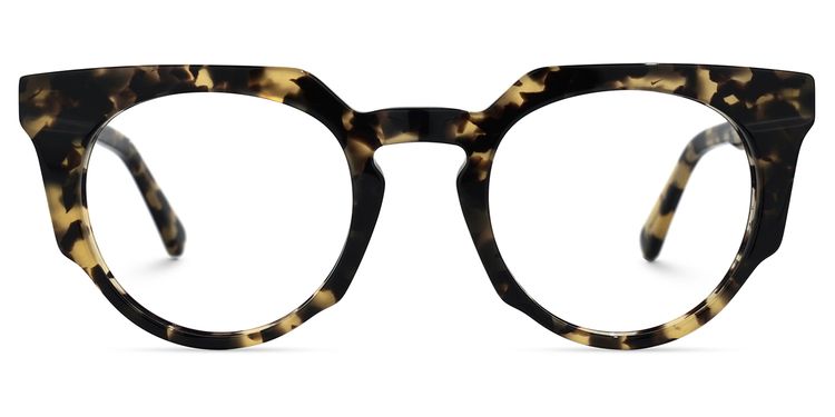 Jenkins Geometric Tortoise Glasses