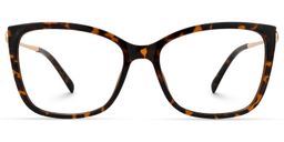 Schirack Cateye Tortoise Glasses0