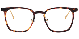 Vincent Rectangle Gold-Tortoise Glasses0