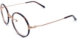  Paris Hilton Round Tortoise Eyeglasses2