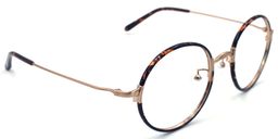  Paris Hilton Round Tortoise Eyeglasses3