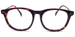 Sophia Bug-eye Glasses5