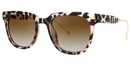 Hoskins Square Tortoise Sunglasses1