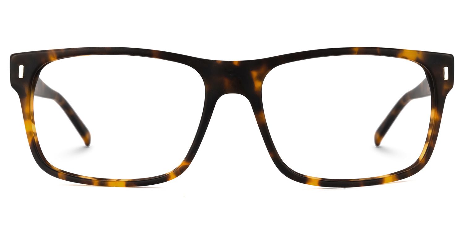 Buy Cintron Optical Glasses and EyeWear Frames on Zeelool0