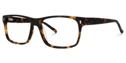Cintron Tortoise Rectangle Glasses1