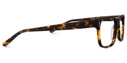 Cintron Tortoise Rectangle Glasses2