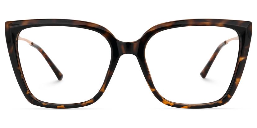 Tanisha Square Tortoise Glasses