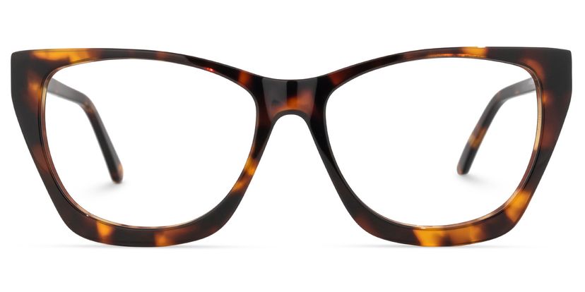 Nany Square Tortoise Glasses