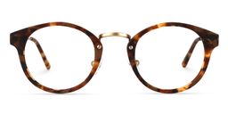 Marrero Round Tortoise Glasses0