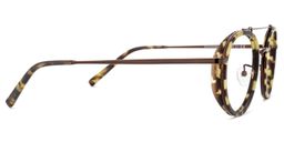 Kristy Round Tortoise Glasses3