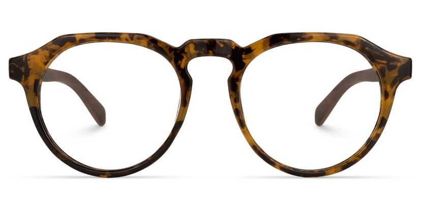 Allende Tortoise Brown Glasses