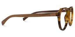 Allende Tortoise Brown Glasses3