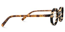 Render Asymmetric Tortoise Glasses2