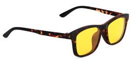 Michaelia Clip-On Glasses4