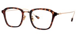 Virginia Square Tortoise Glasses2