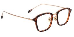 Virginia Square Tortoise Glasses3