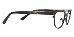 Shelly Cat Eye Black Glasses5