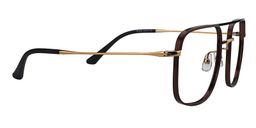 Jelly Aviator Brown Titanium Glasses5