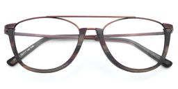 Alibi Aviator Tortoise Eyeglasses1