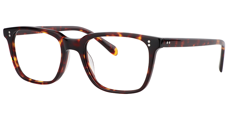 Lamont Rectangle Tortoise Frame Glasses | Zeelool3