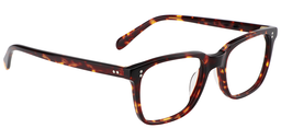 Lamont Tortoise Rectangle Glasses4