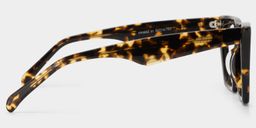 Cecile Tortoise Cat eye Glasses3