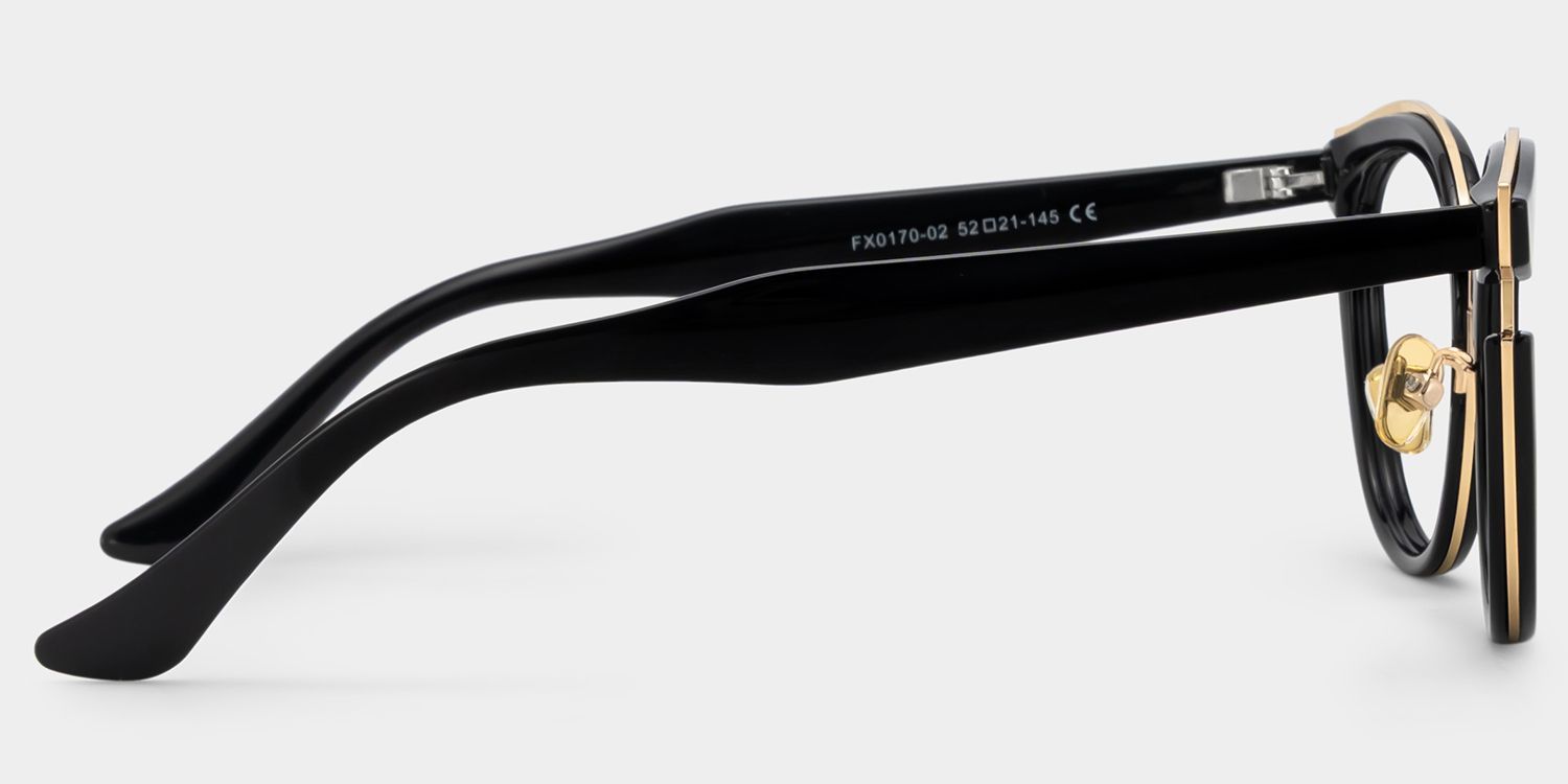 Laraine Cat Eye Black Frame Glasses with Gold Trim3