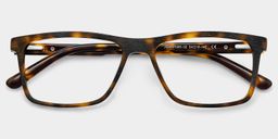 Daniel Tortoise Rectangle Glasses1
