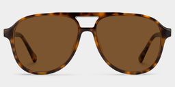 Luna Tortoise Aviator Sunglasses0