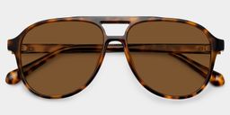 Luna Tortoise Aviator Sunglasses1