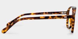 Luna Tortoise Aviator Glasses4