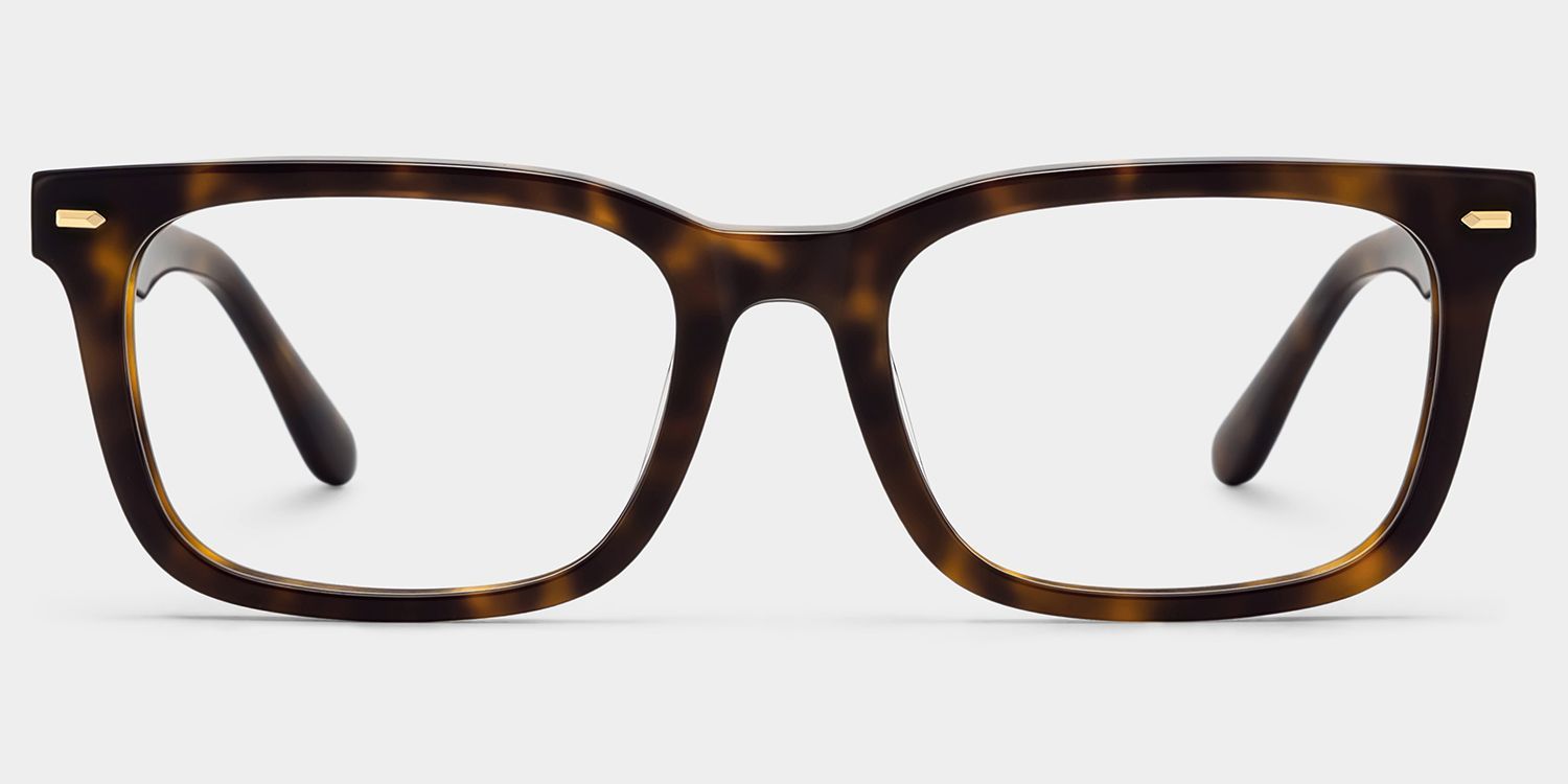 Patrick Tortoise Rectangle Eyeglasses for Men | ZEELOOL1