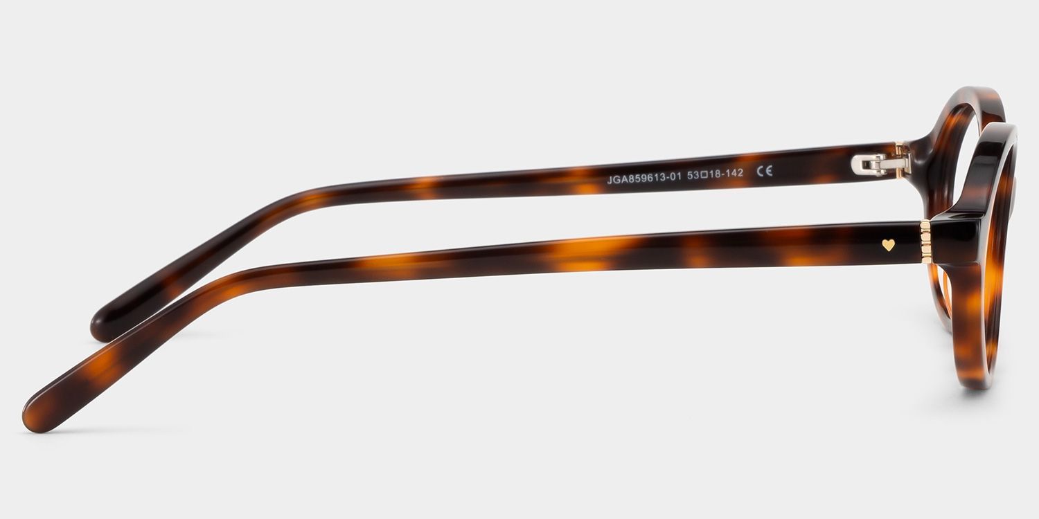 Everly Oval Tortoise Eyeglasses—Acetate Frame Glasses | ZEELOOL7