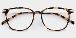 Florence Tortoise Rectangle Glasses2