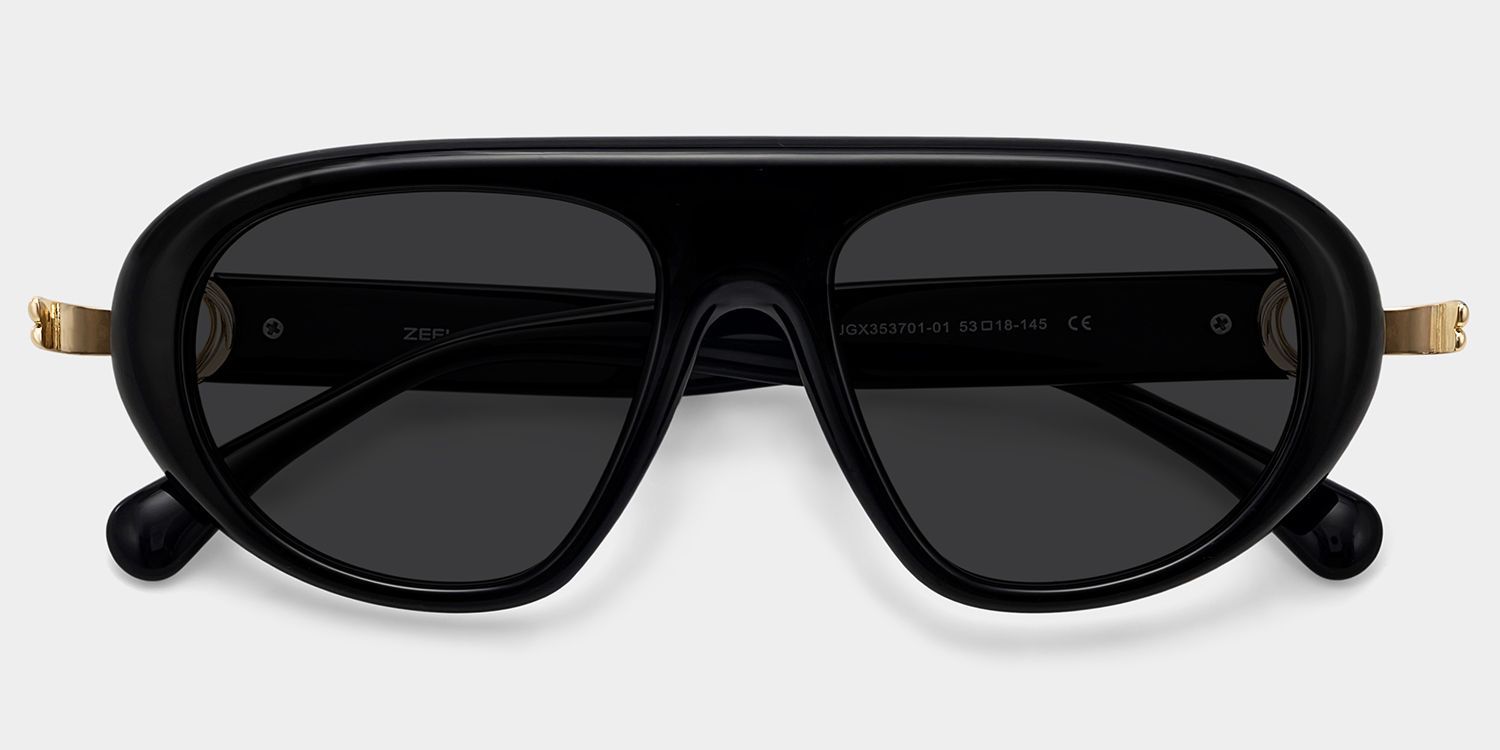 Aveline Aviator Sunglasses with Mixed Black Frames | ZEELOOL CA1