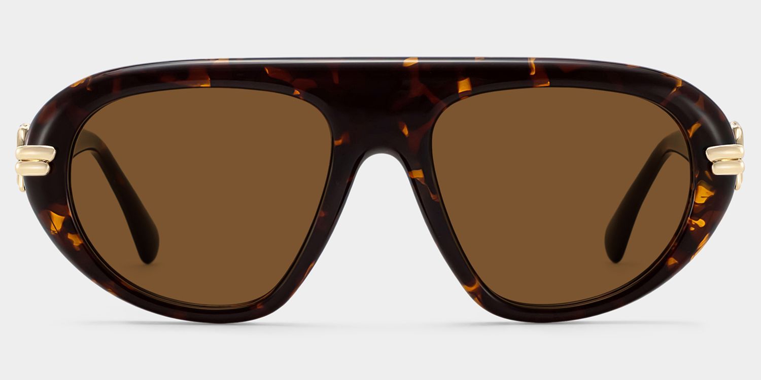 Aveline Tortoise Aviator Polarized Sunglasses for Driving | ZEELOOL CA0