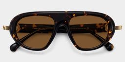 Aveline Tortoise Aviator Sunglasses1
